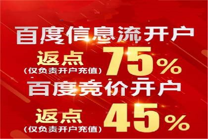 百度竞价代理全攻略：成功案例分享
